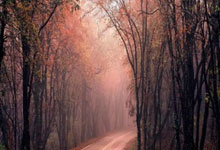 13球，罗德里格成为梅州客家队史中超射手王.