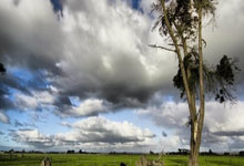 多多28体育：(体育)篮球——CBA常规赛：天津先行者胜吉林九台农商银行.