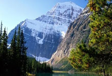 多多28体育：19人获颁美国总统自由勋章 梅西因行程冲突缺席.